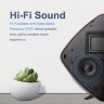 Акустическая система Rock Space Muse Bluetooth Speaker  